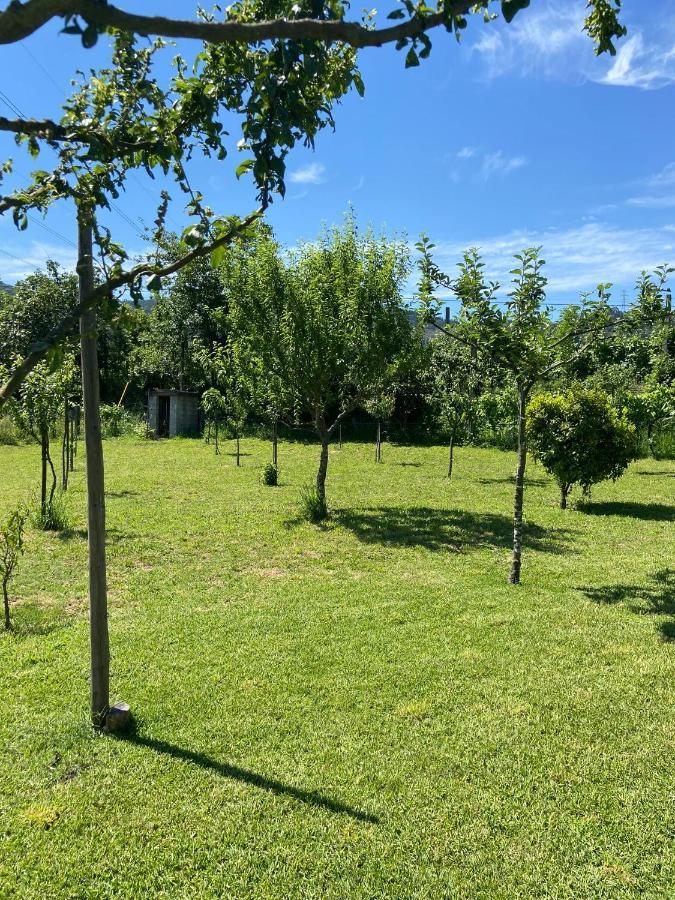 Casa Dos Avos Villa Póvoa de Lanhoso Dış mekan fotoğraf
